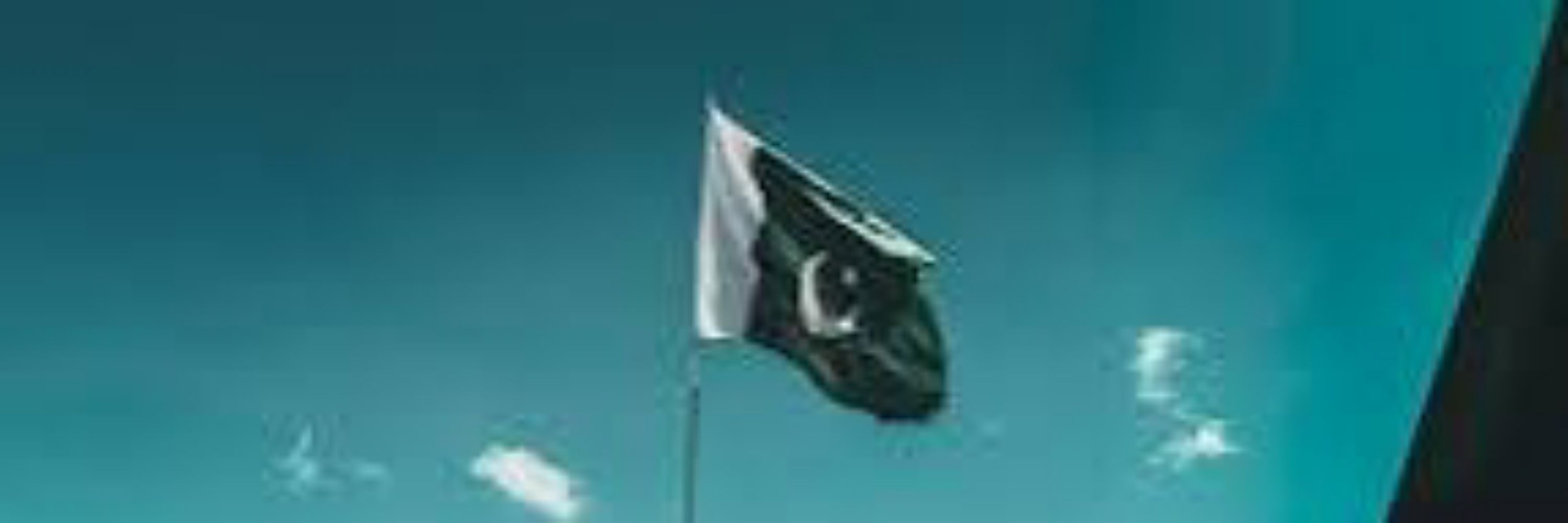 The Power Of PTI