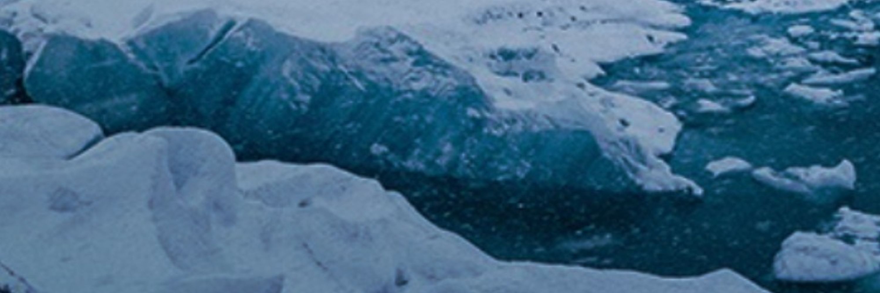 AGU Cryosphere Section