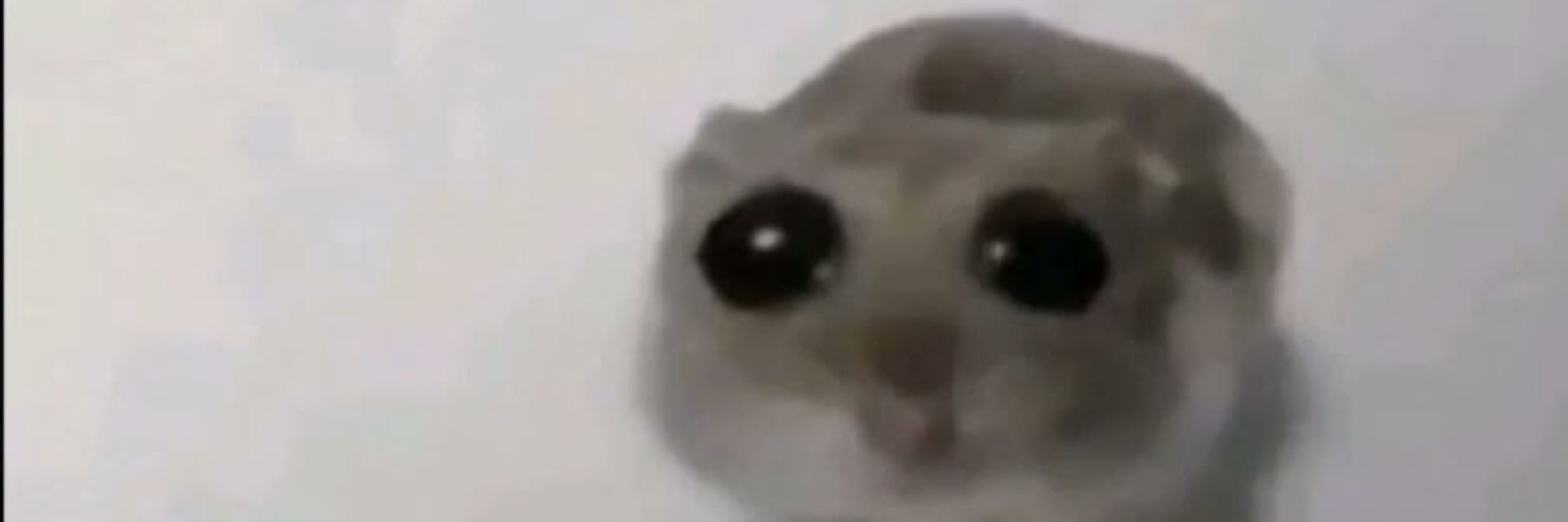 goopy