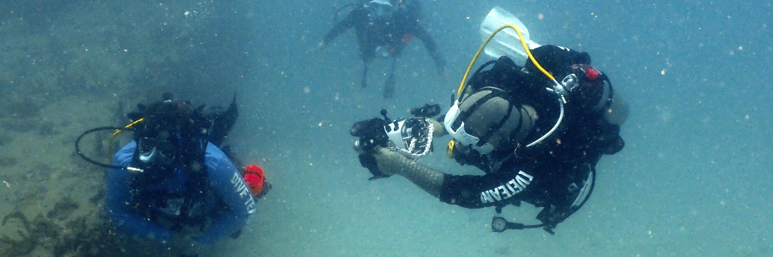 Anesti Vega