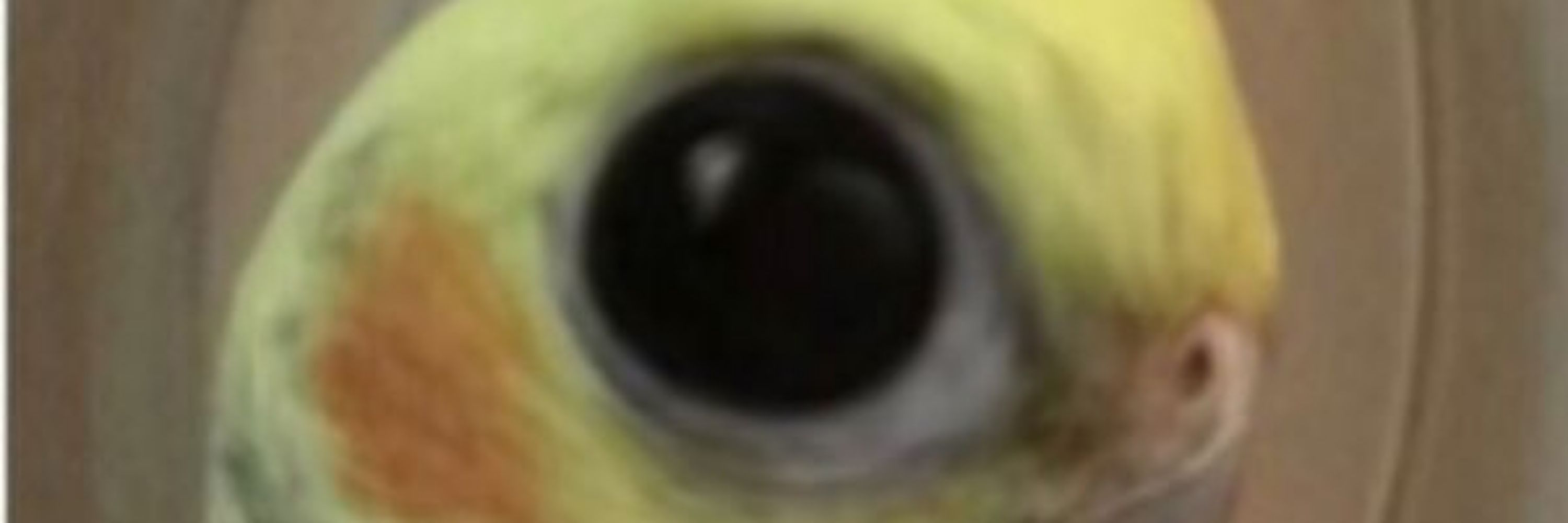 𝚍𝚊𝚗𝚢𝚎𝚕