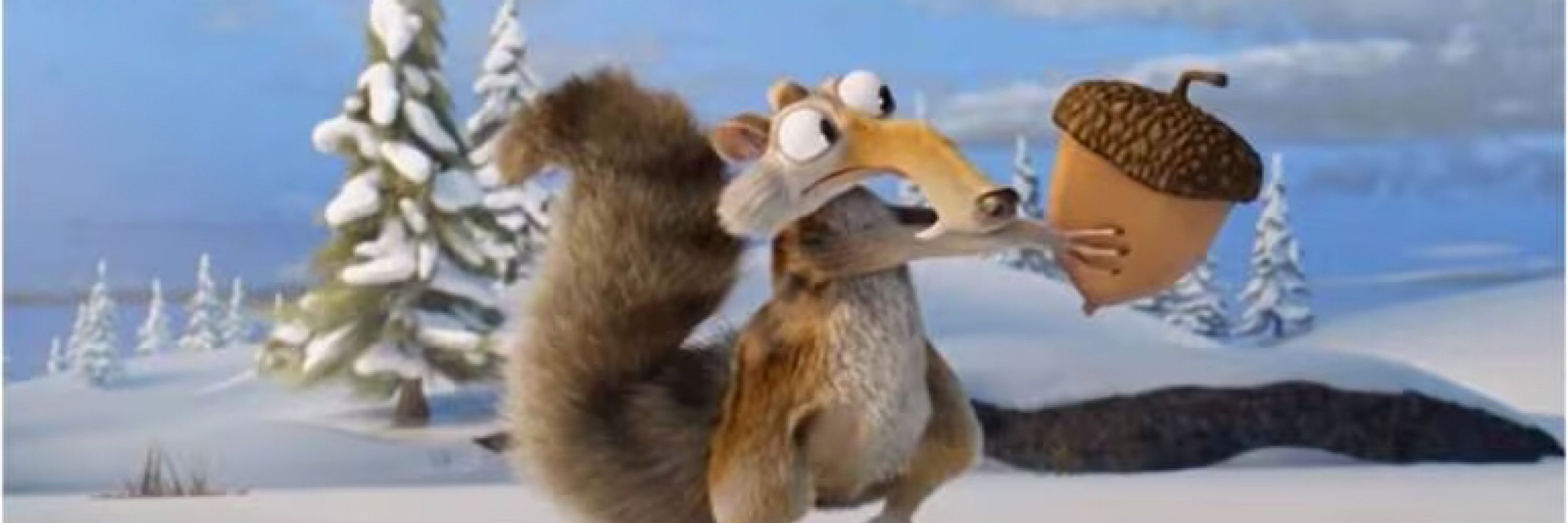 Lt. Commander Steady the squirrel