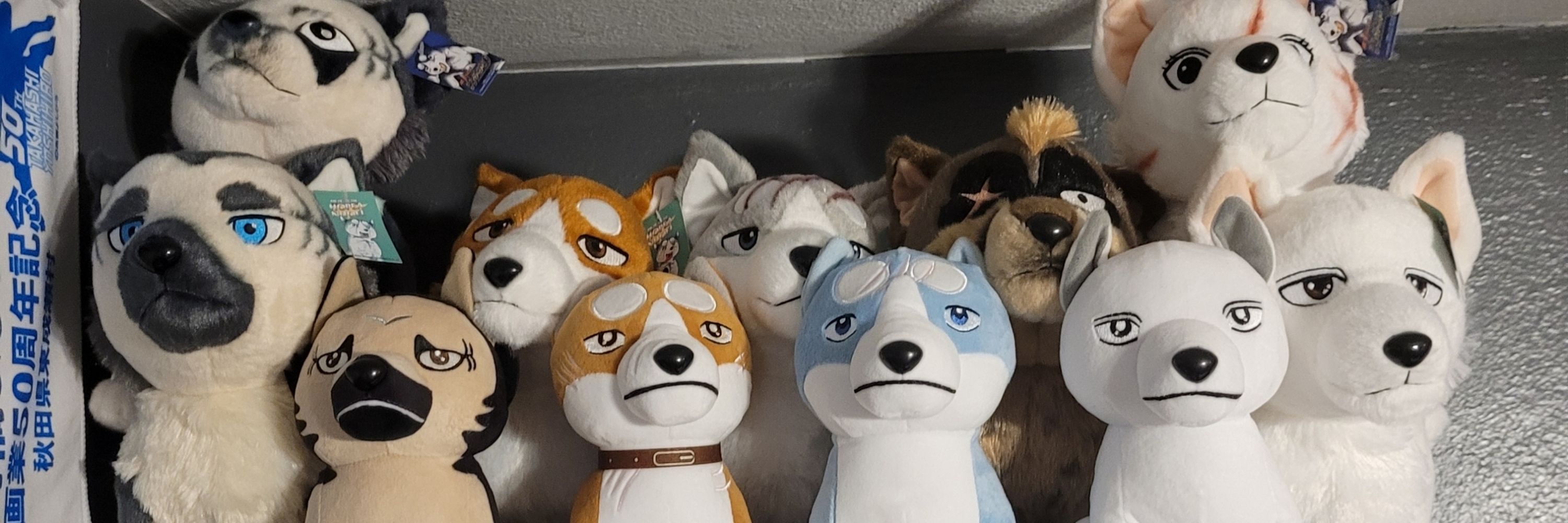 Nick | 🐺 Manga Collector