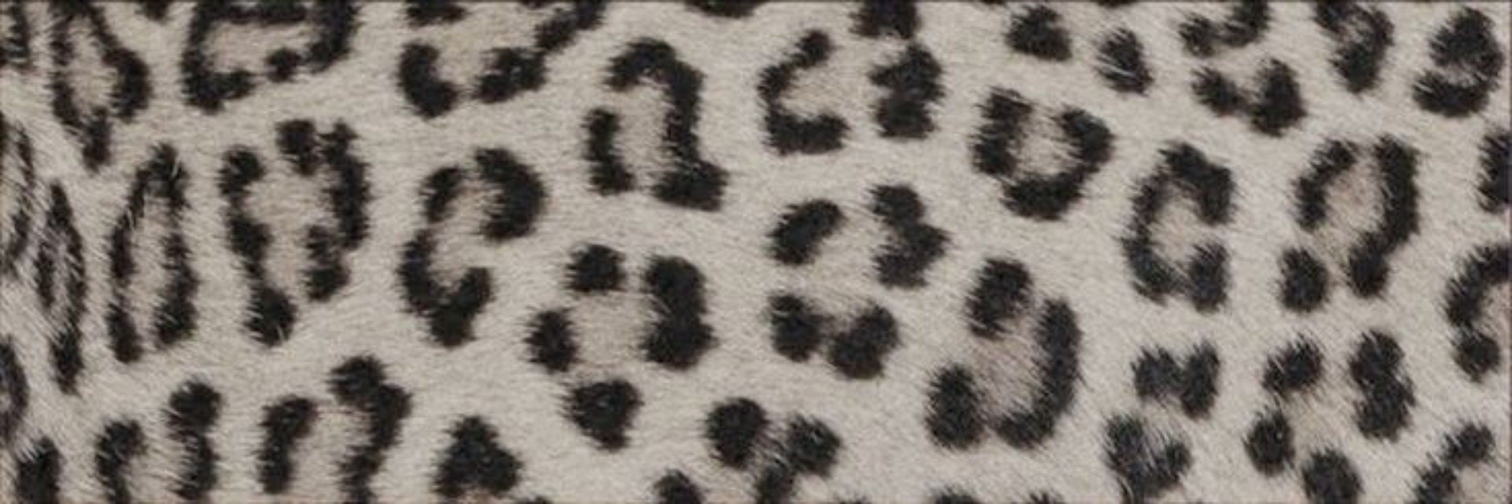 ℰ𝓁ℯ𝓃𝒶 🐆