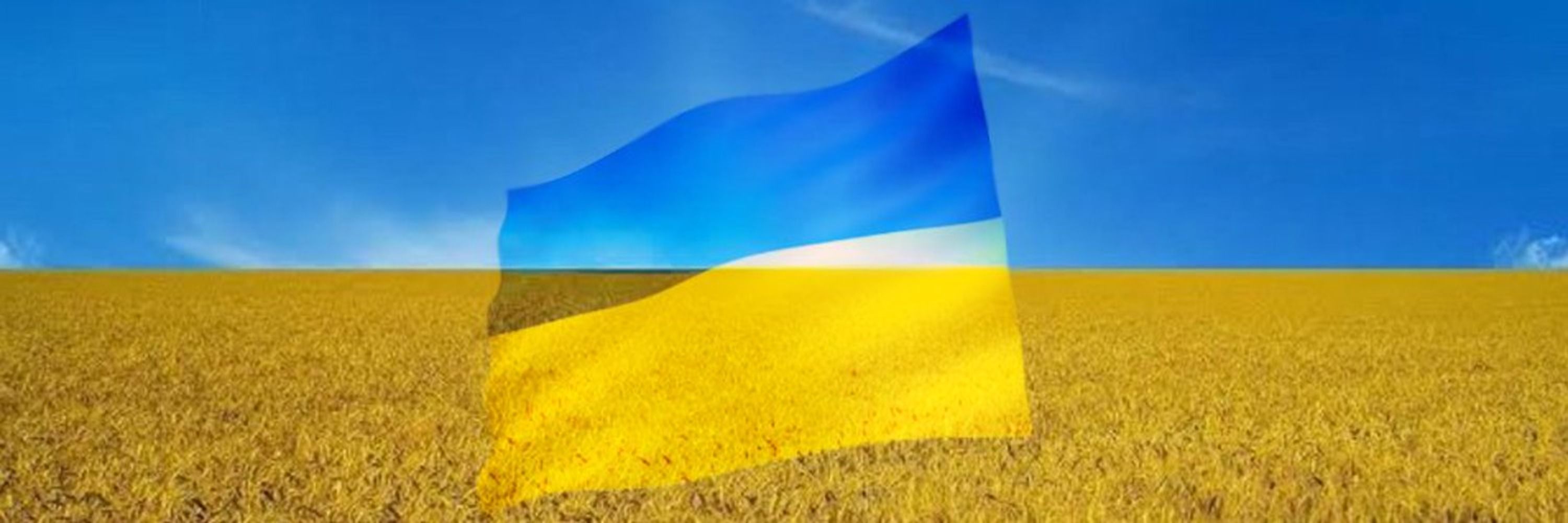 スマイルセイラ🇯🇵🇺🇦
