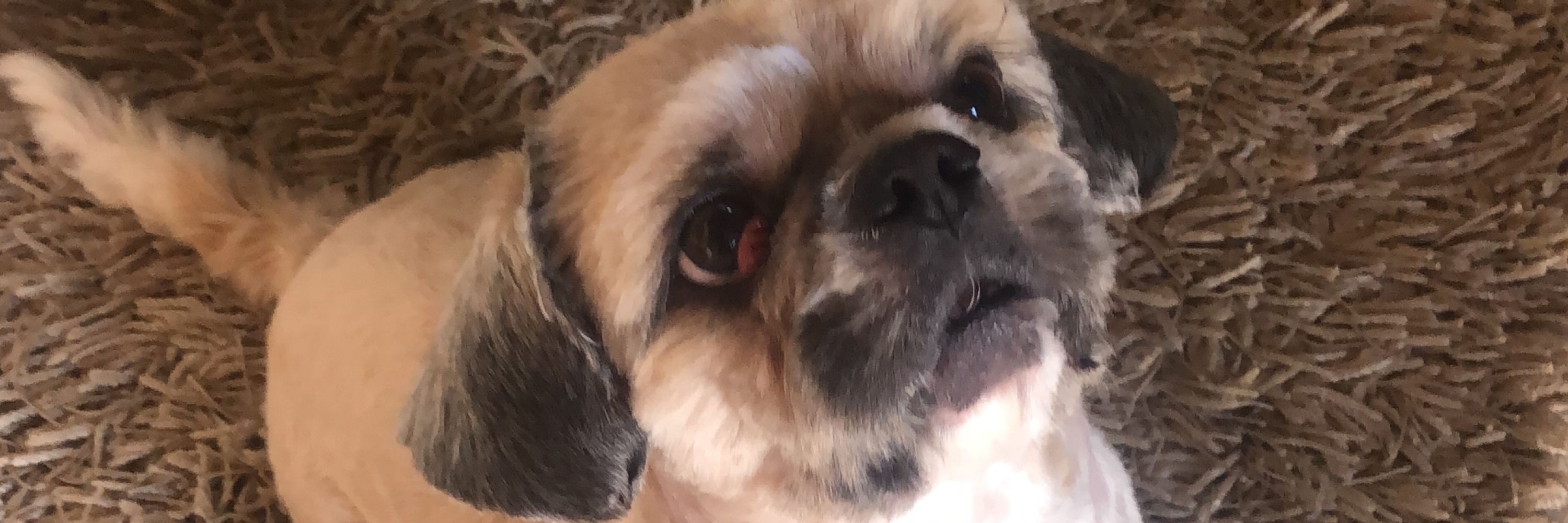 Hadu ainda é a droga