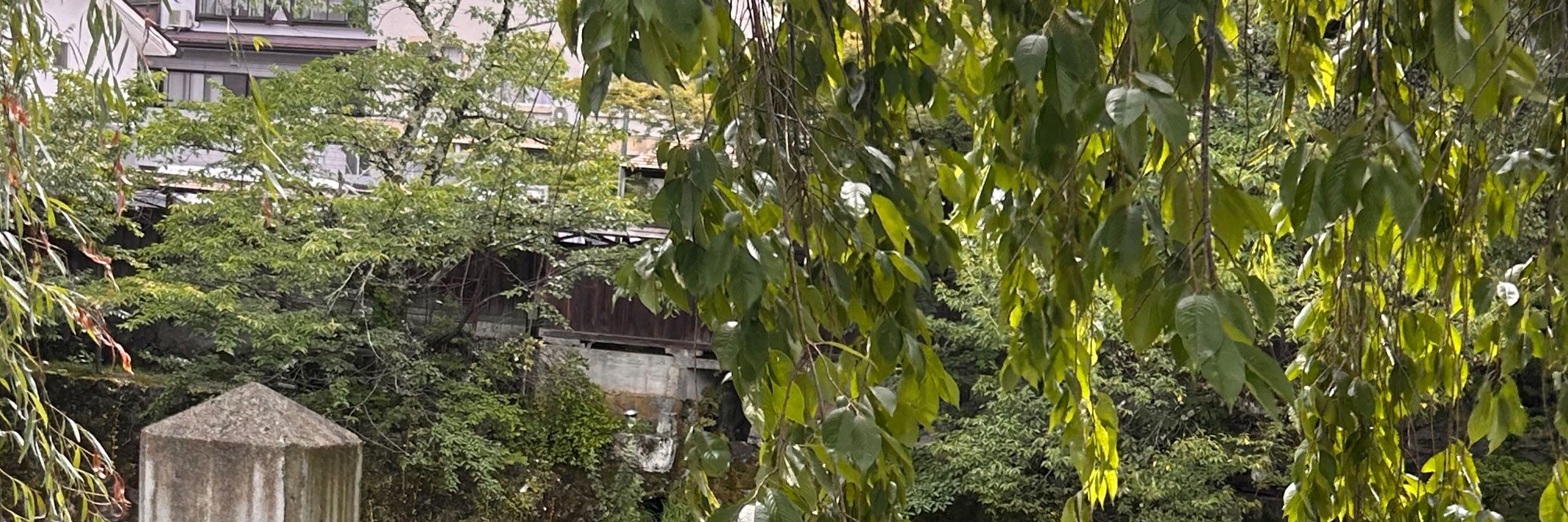 白井