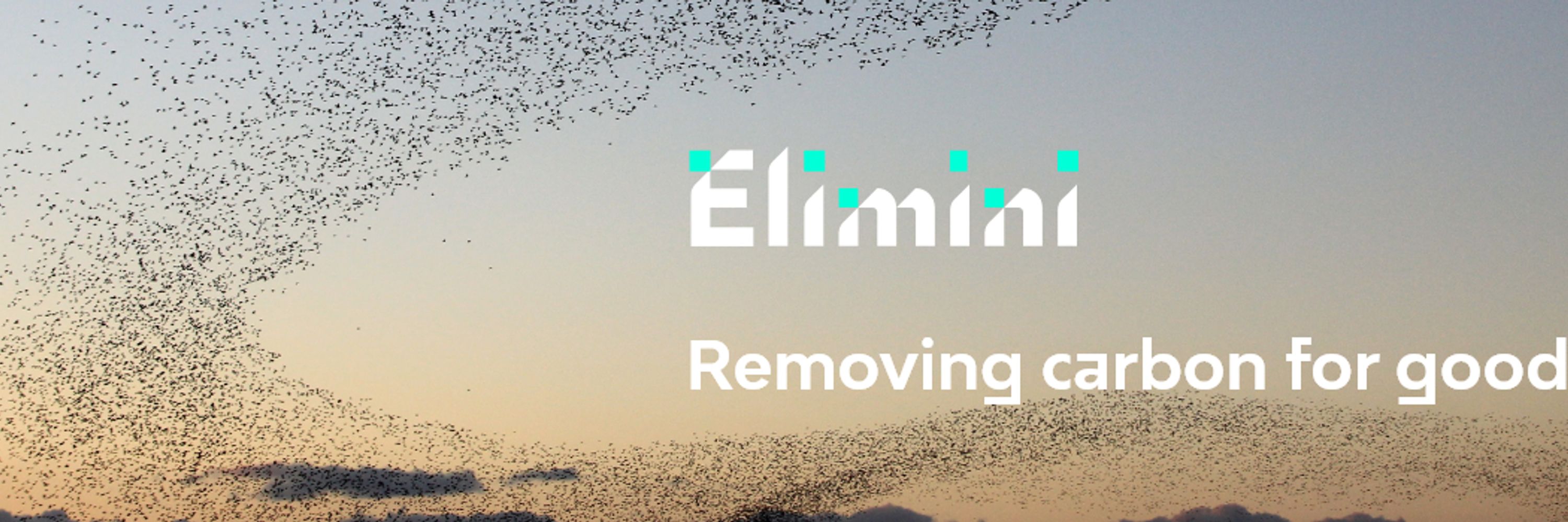 Elimini
