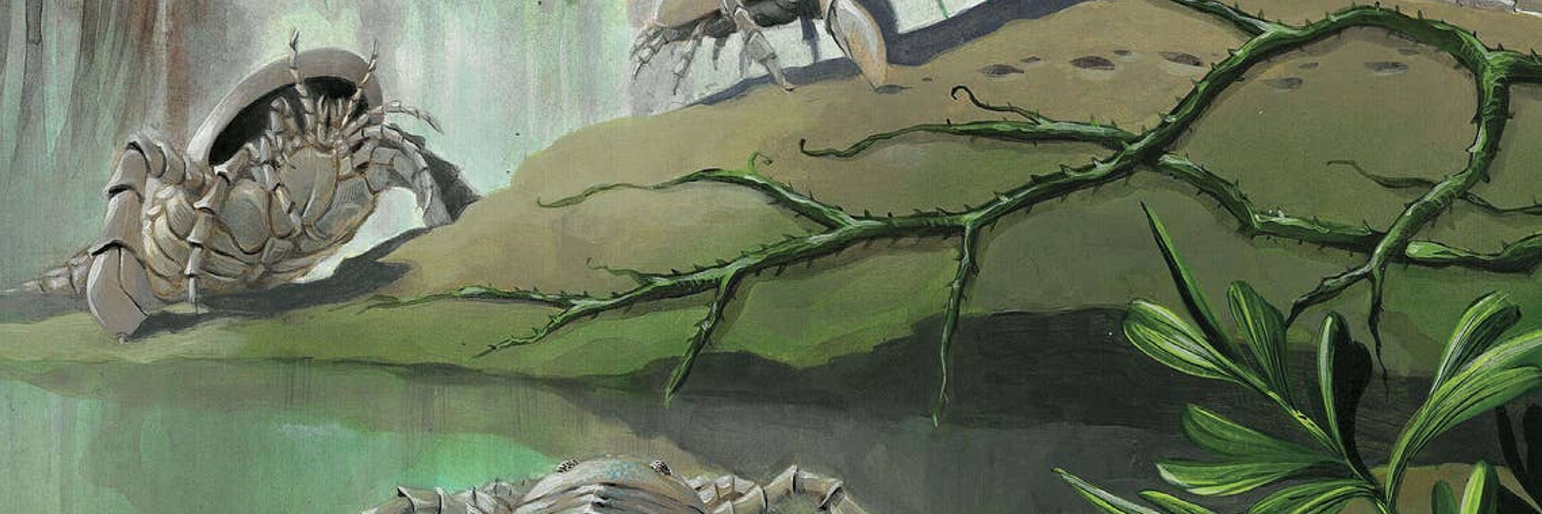 SkeletonBeleton