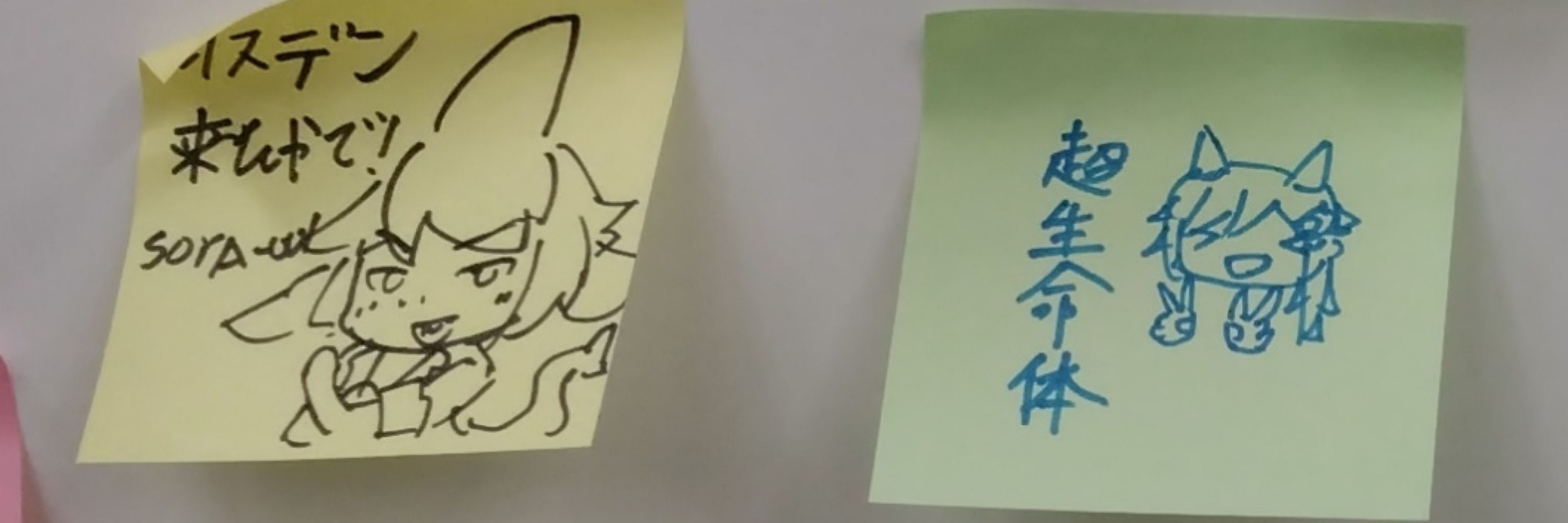 かるか🦈/ろっくくろっく⏰