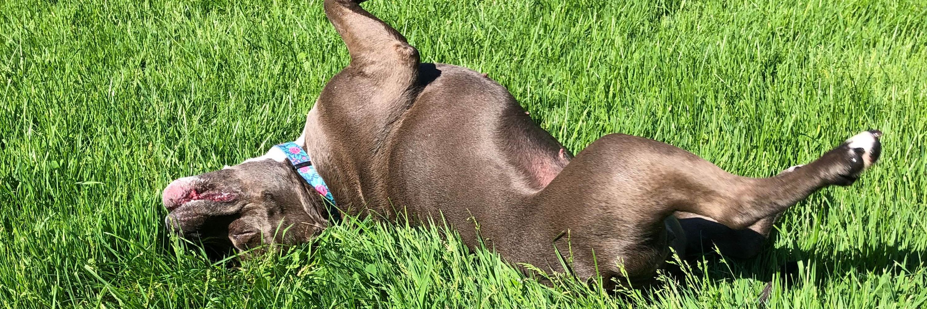 Chloe