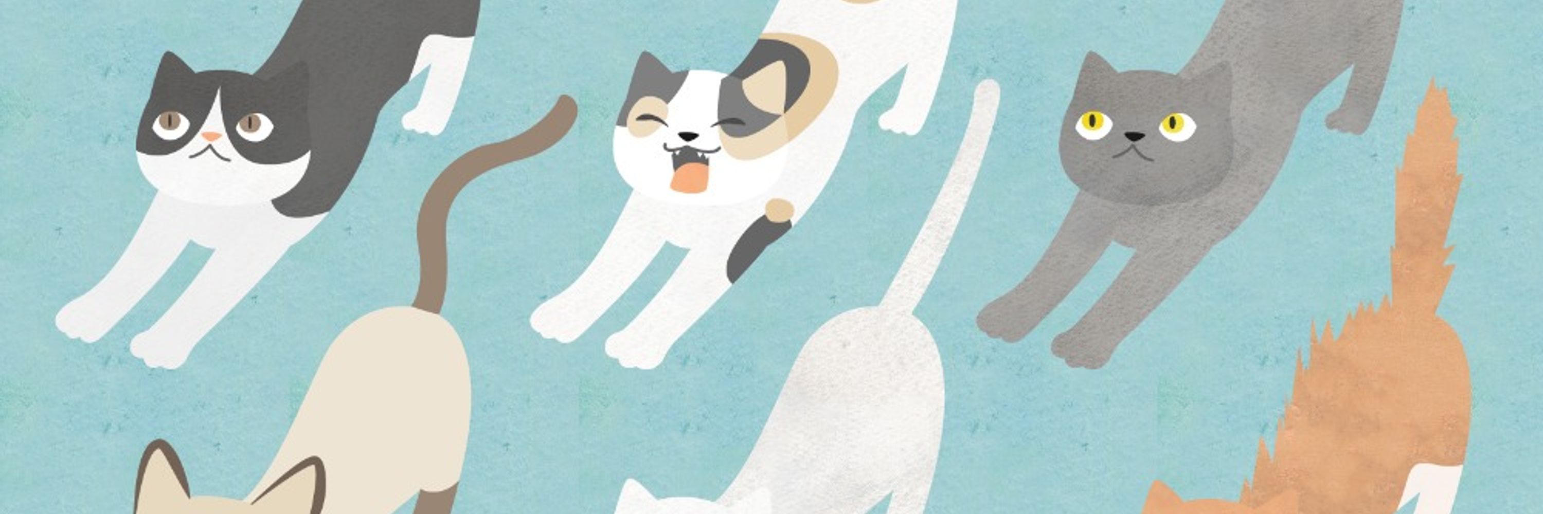 ねこ好きあつまれー！