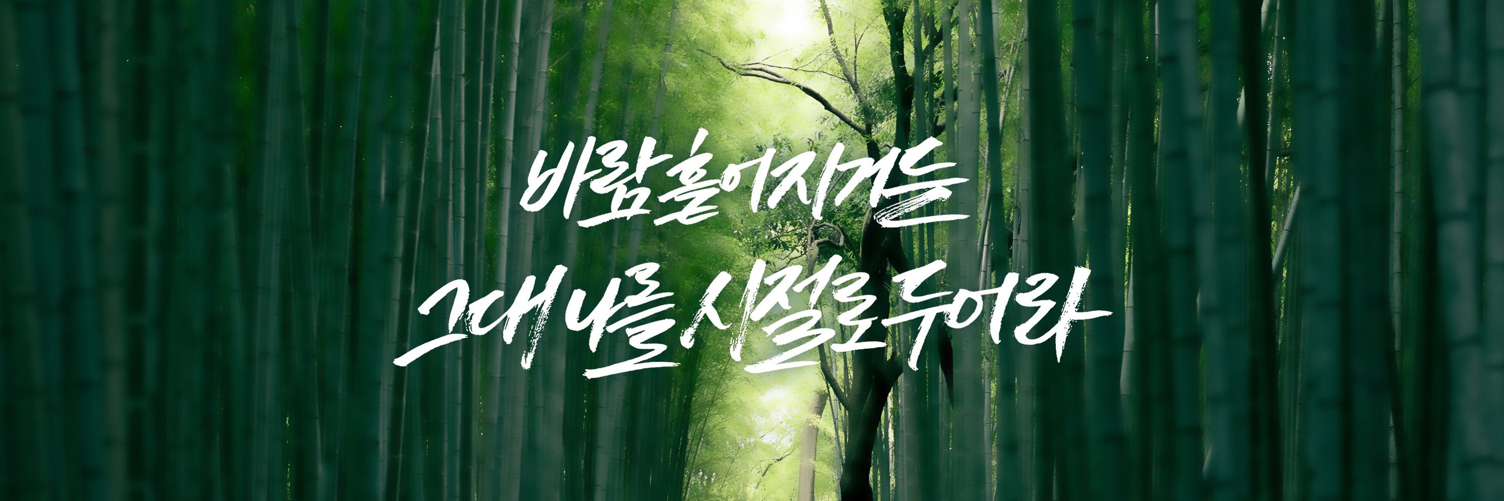 콘통콩