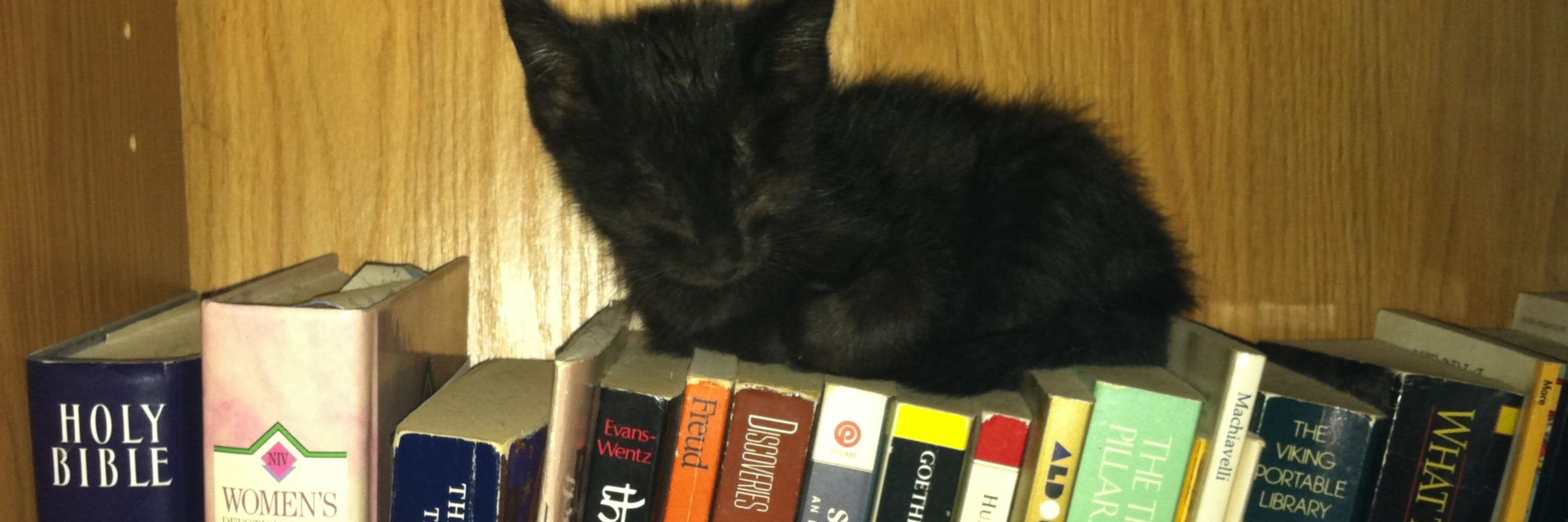 PBR Book Club