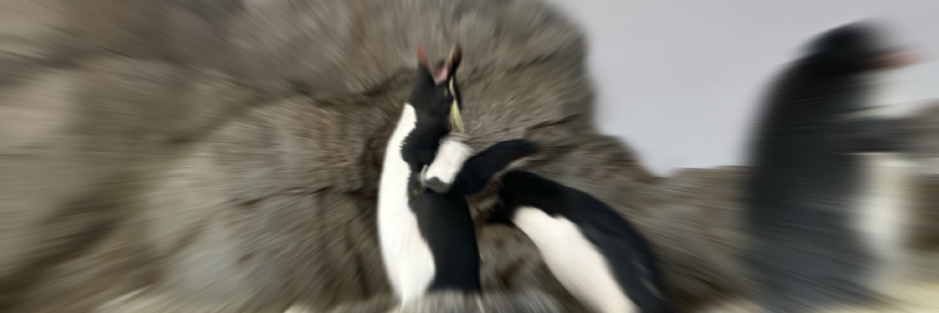 +M