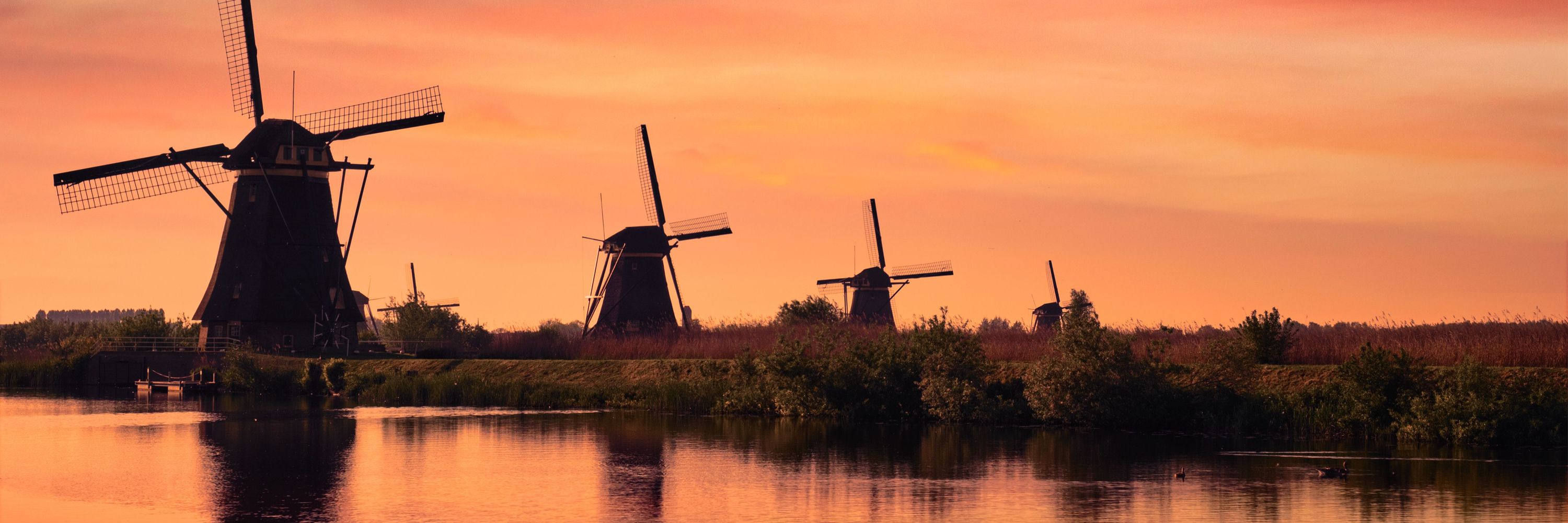 See The Netherlands