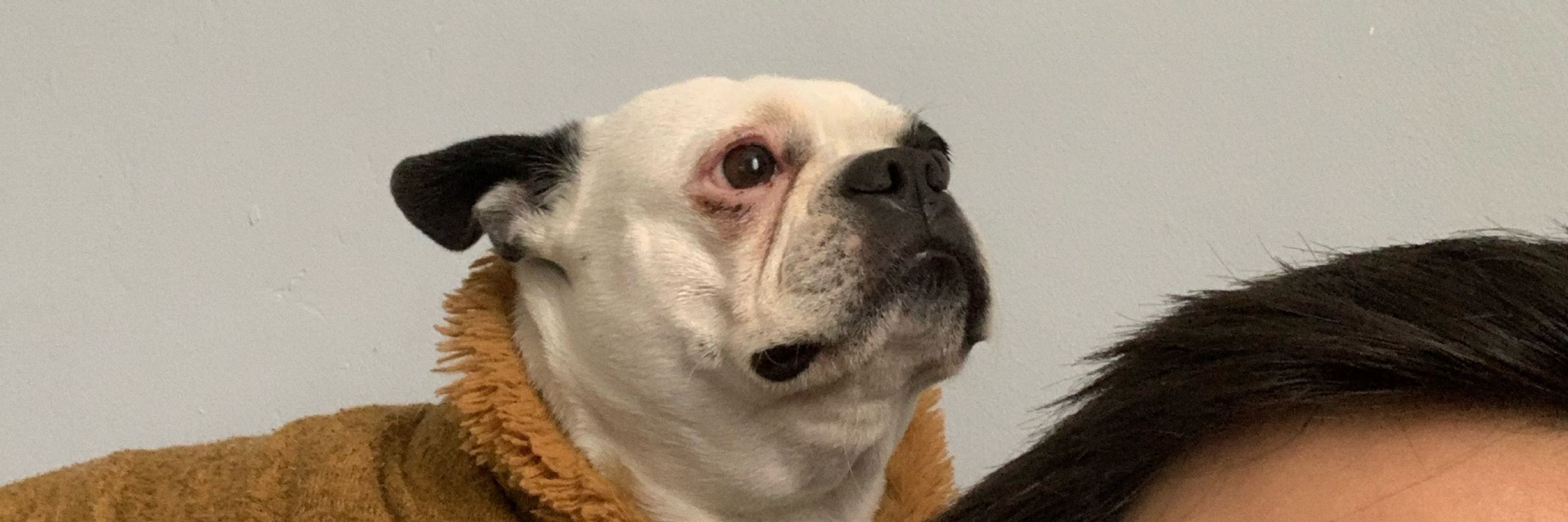 Ben