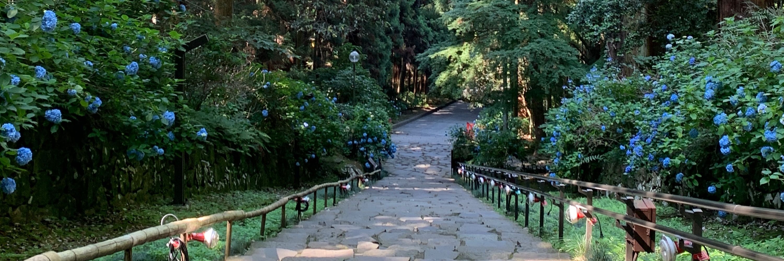 餅月🌙