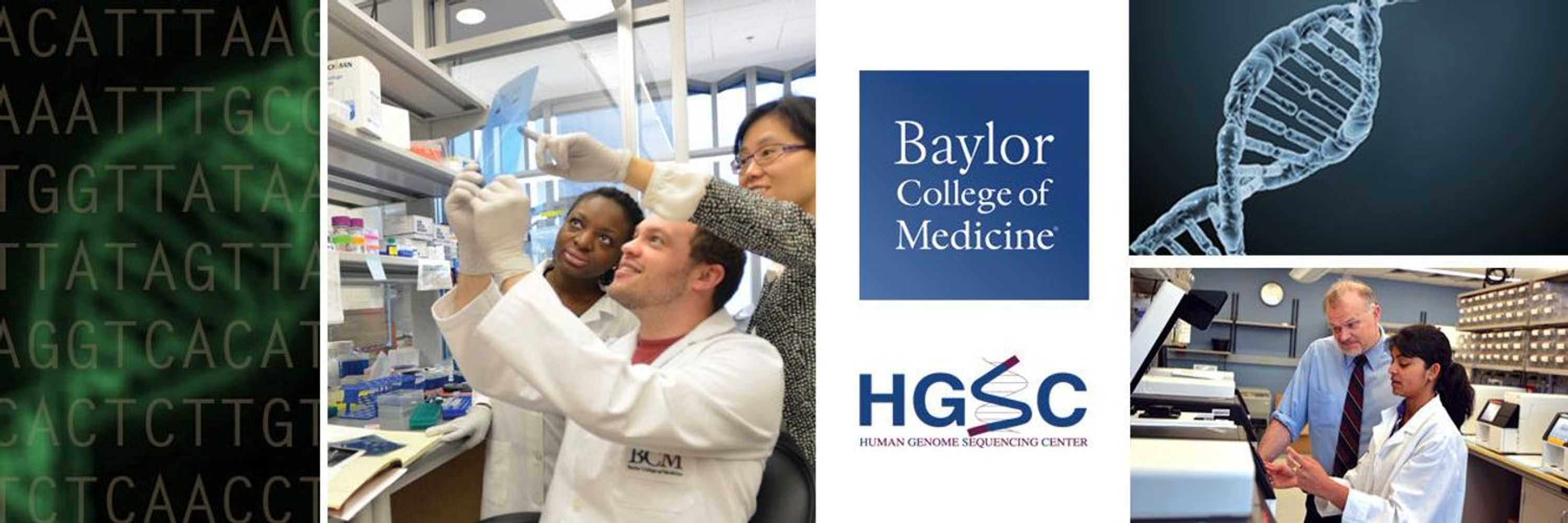 BCM Human Genome Sequencing Center