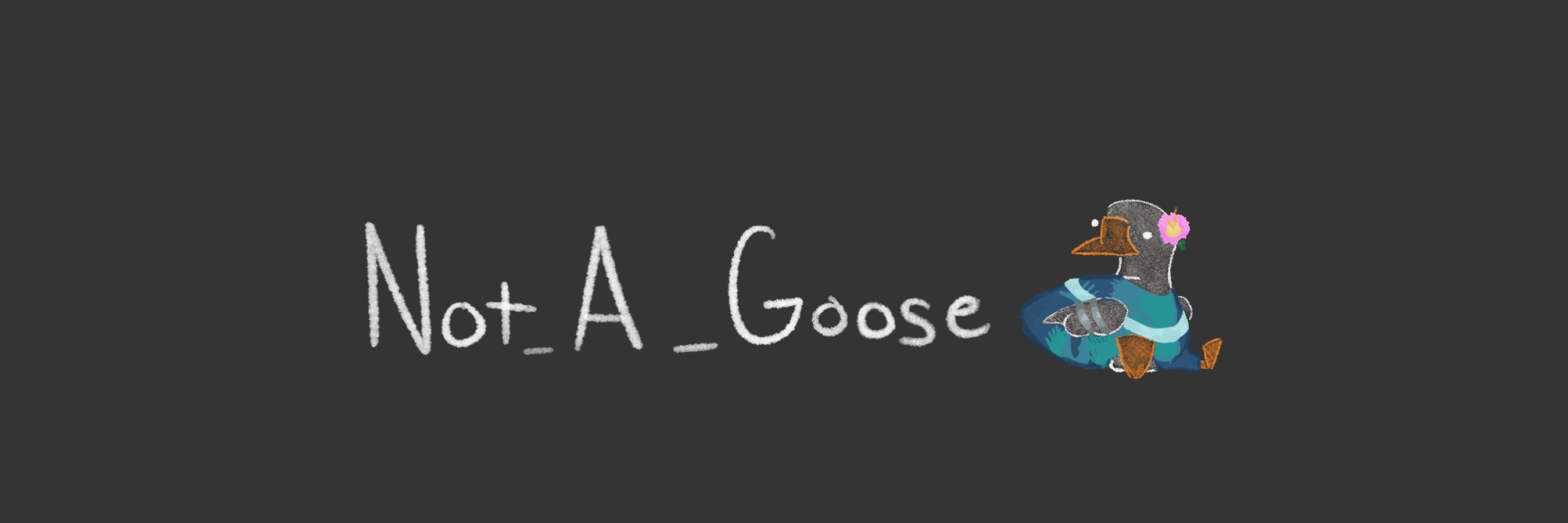 Not A Goose