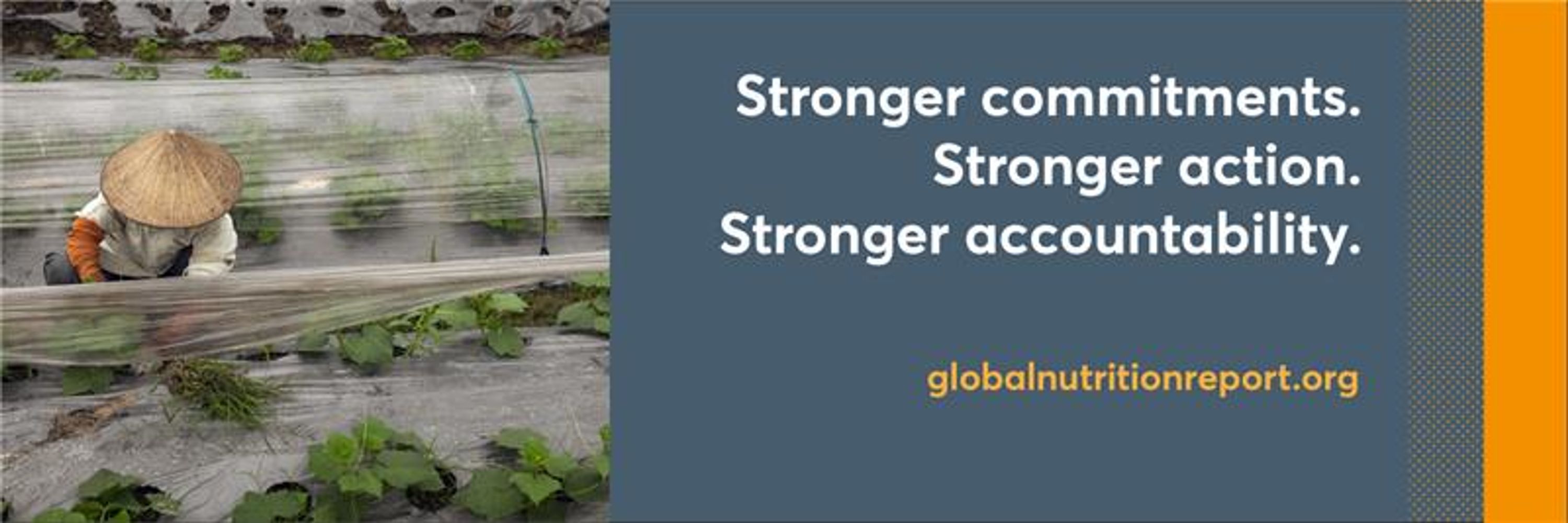 The Global Nutrition Report