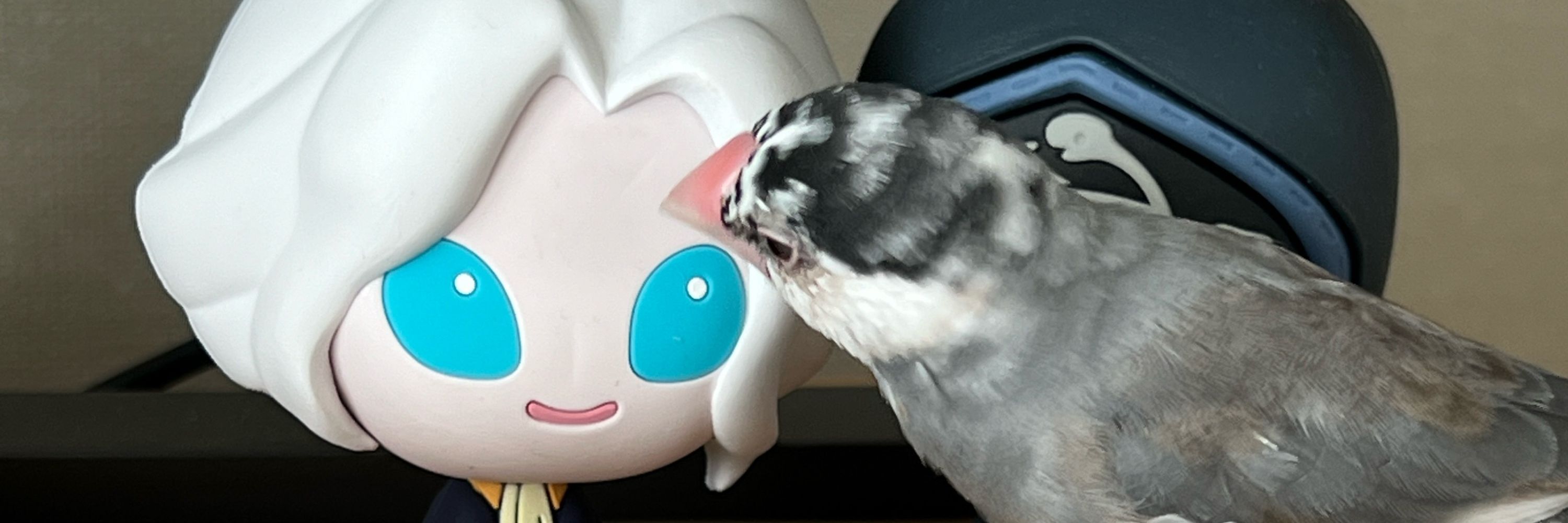 いさこんぶ