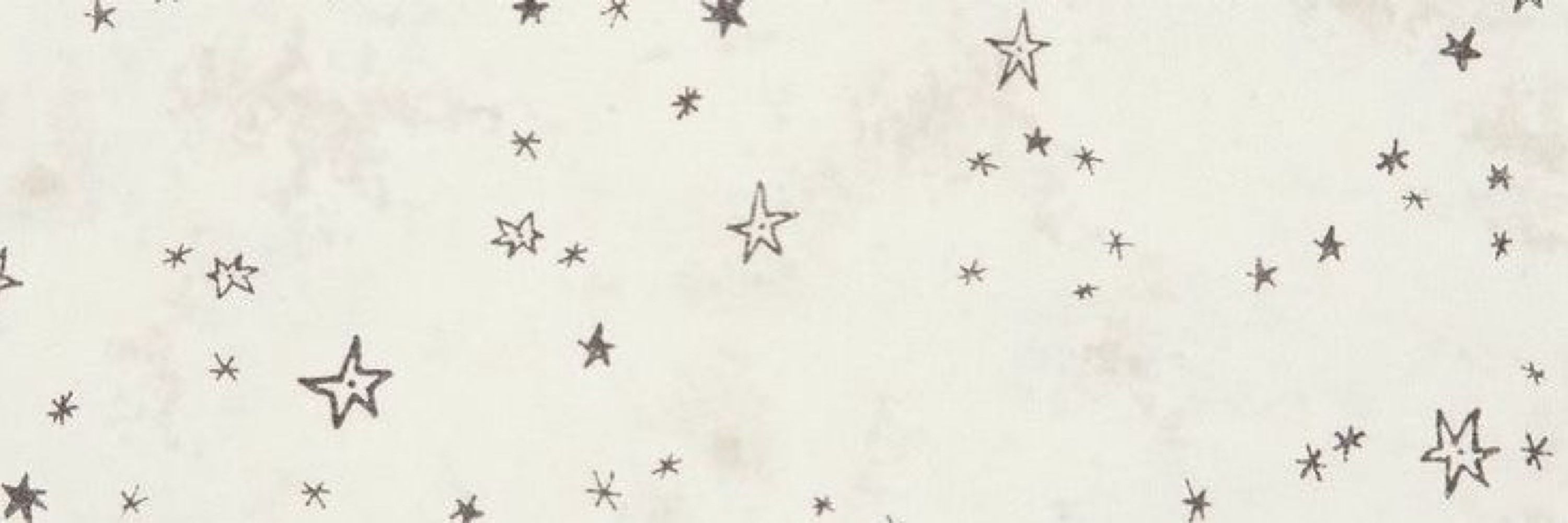 *ੈ✩‧₊˚ ✧.* ੈ✩‧₊˚