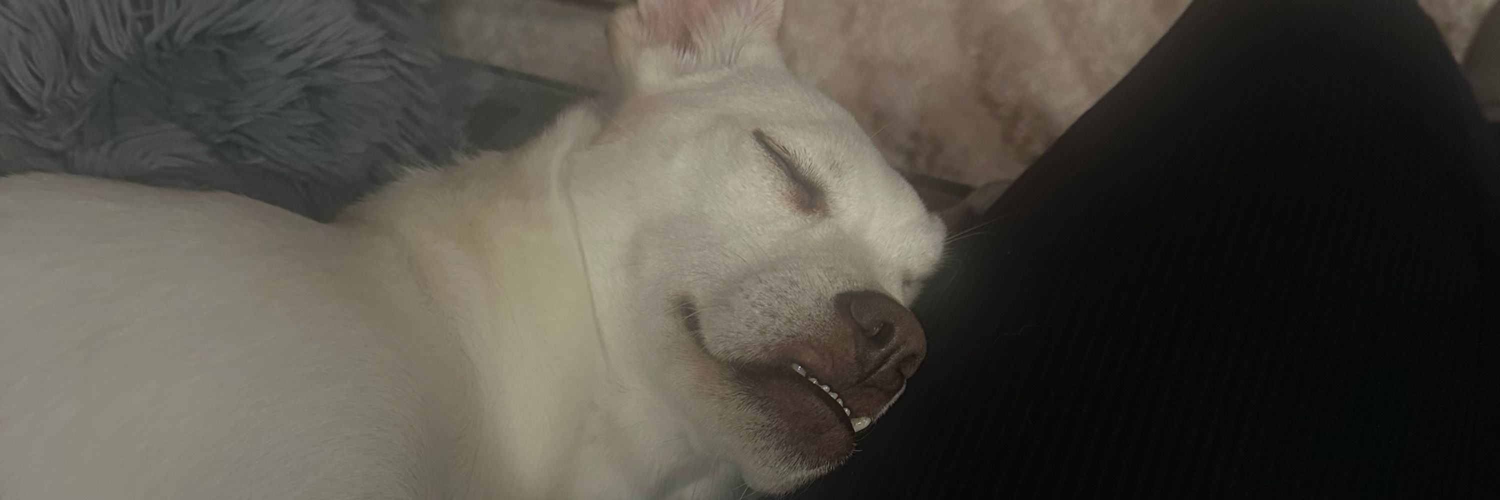 Kev