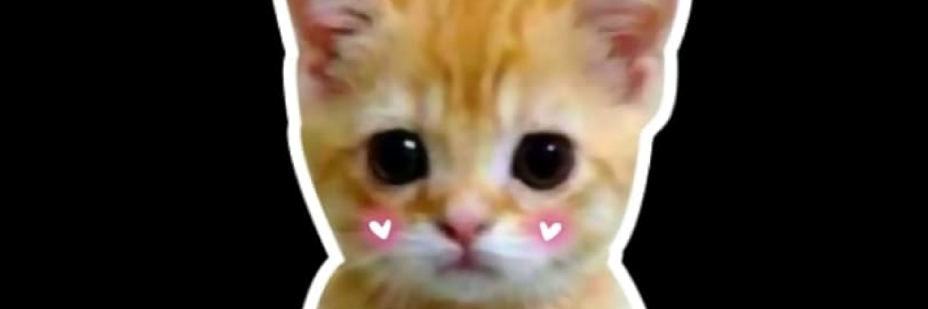 g♡blin (18+)