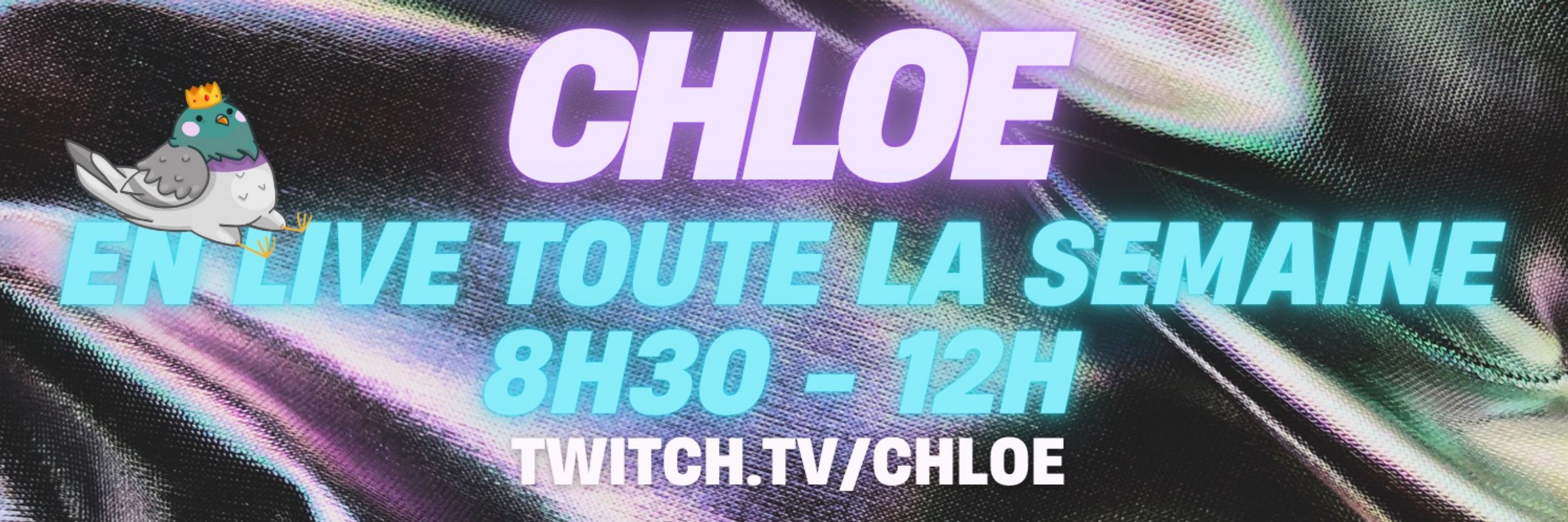 Chloé - Reine des pigeons 🕹🐦