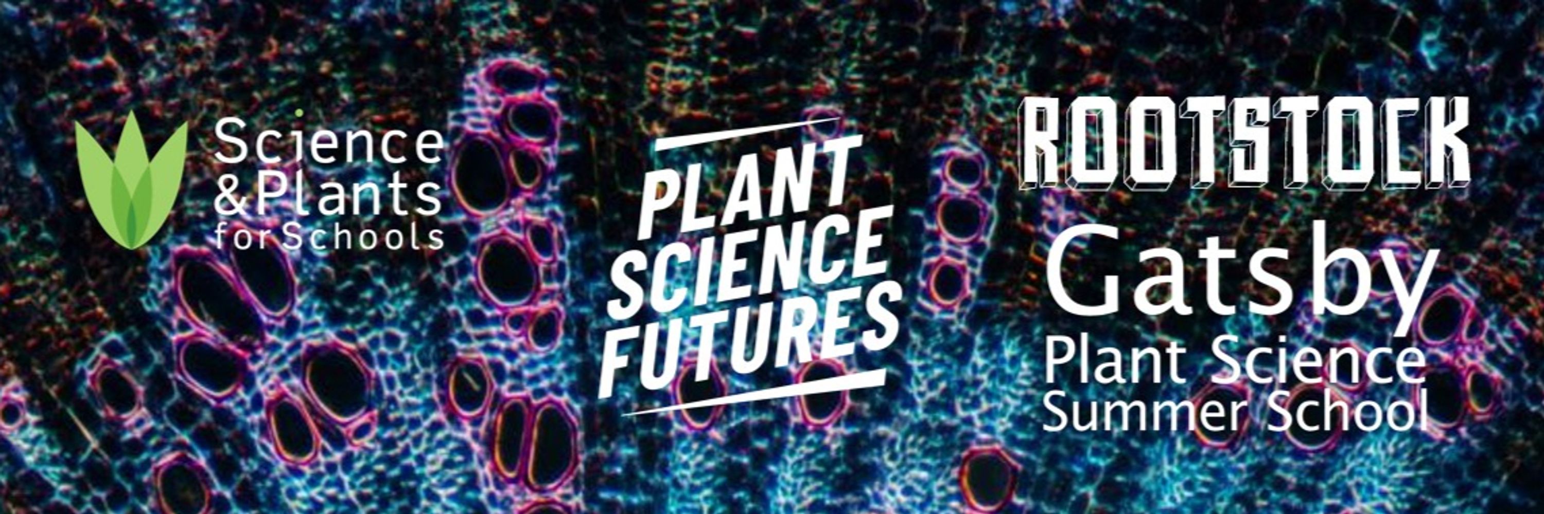 Gatsby Plant Science Education Programme