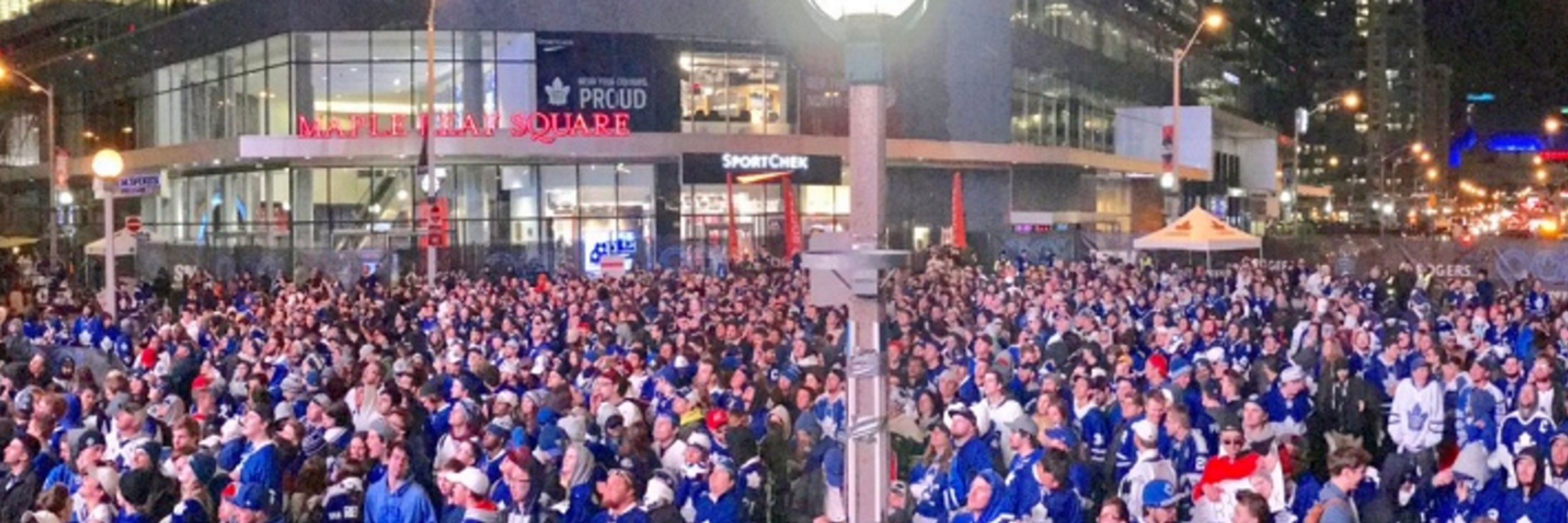 Jeff The Leafs Fan