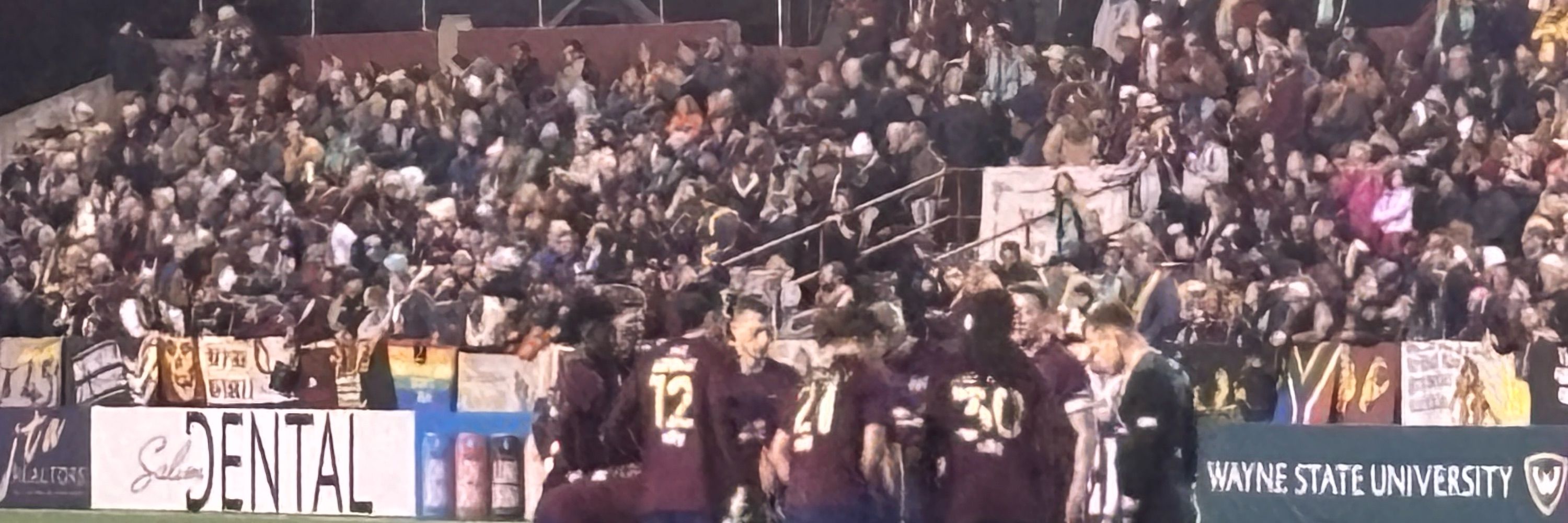 Soccer Night In Detroit