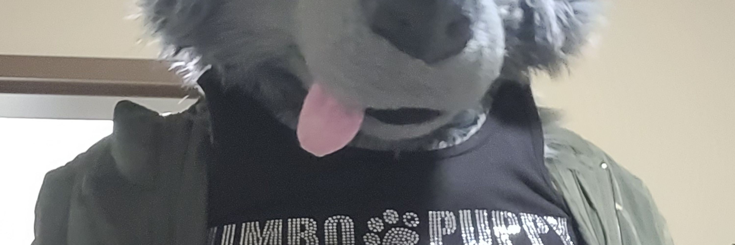 Stormwolf76