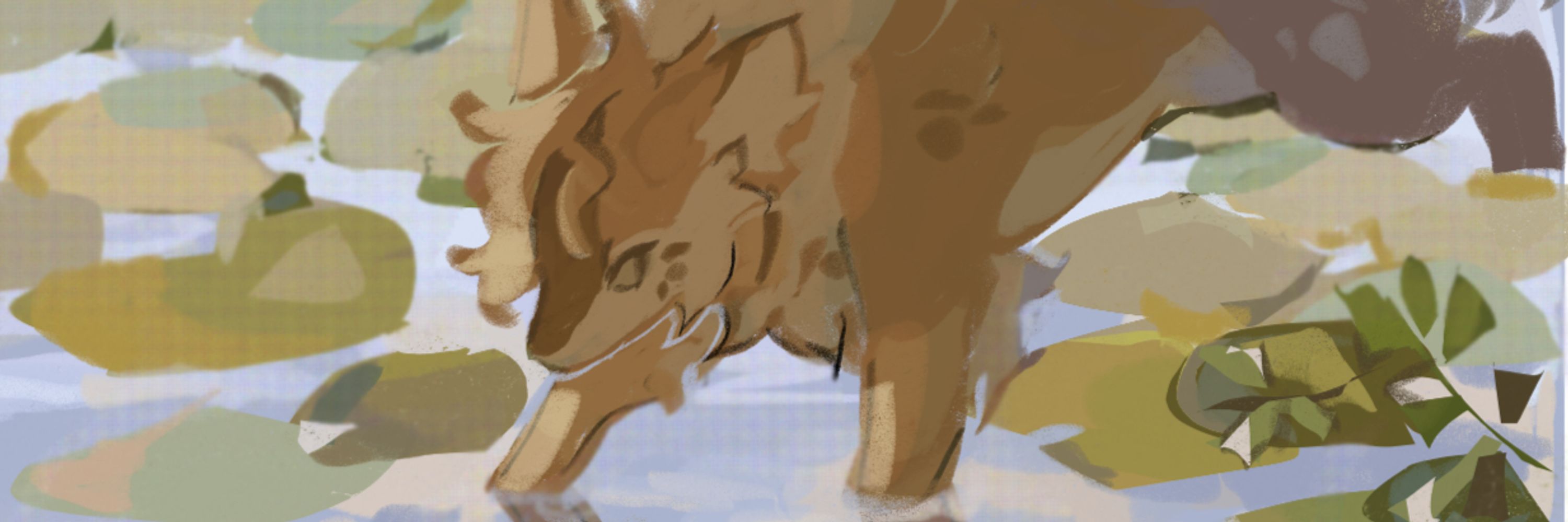 Fawnclouds