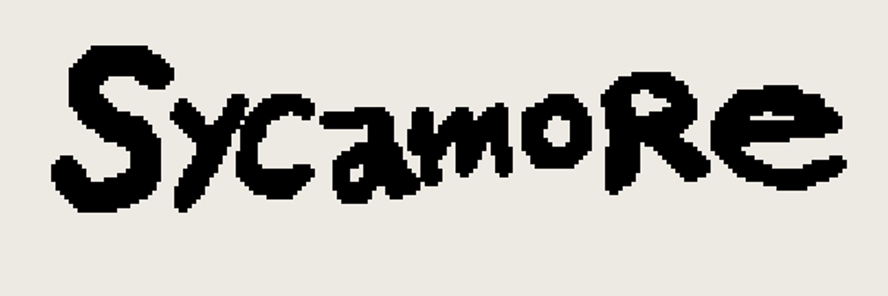 sycamore