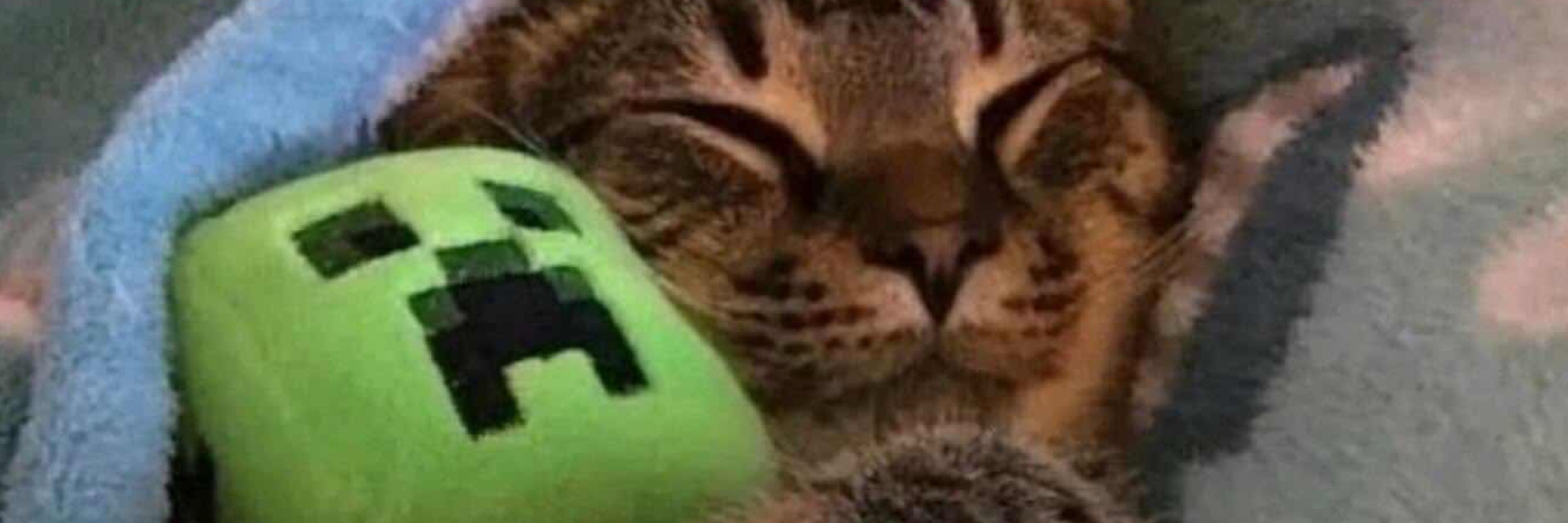 cptsubby