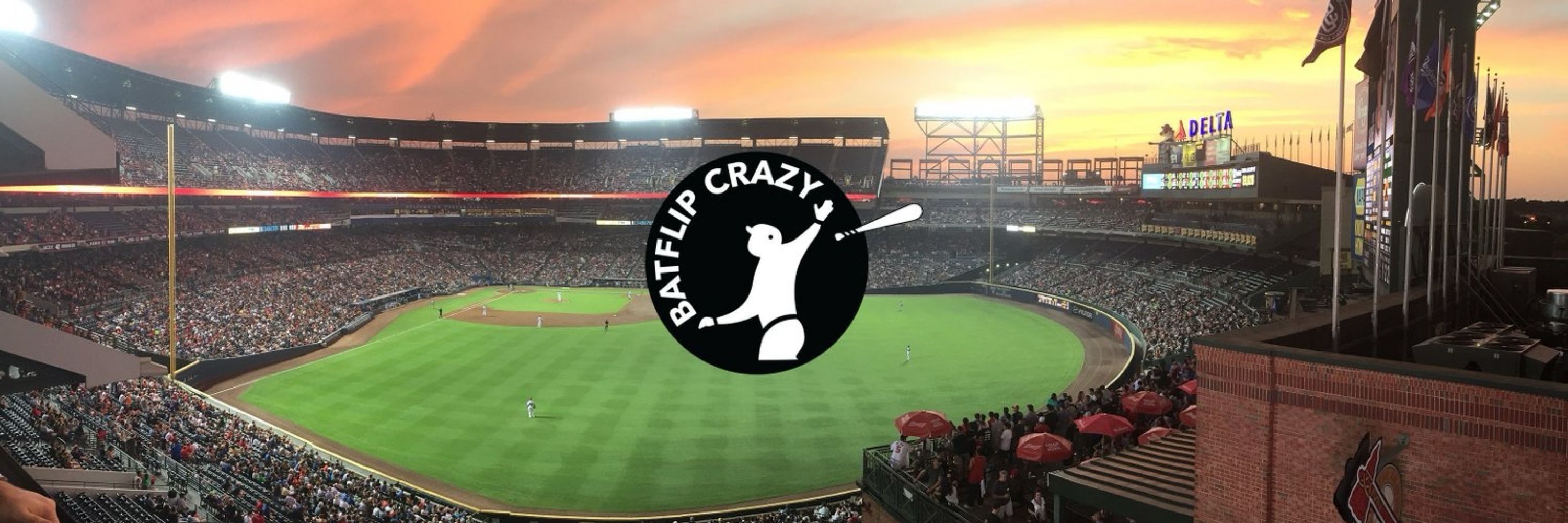 BatFlip Crazy
