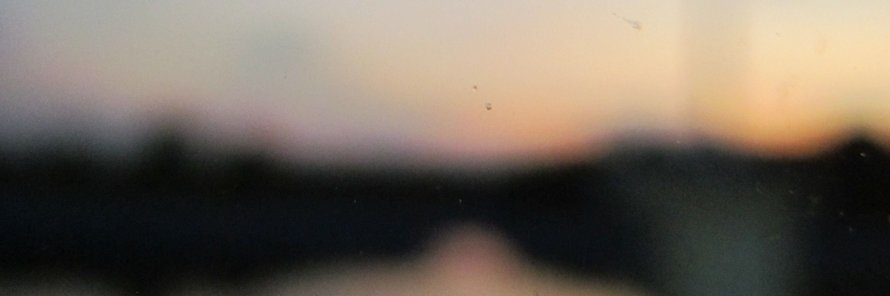 silia