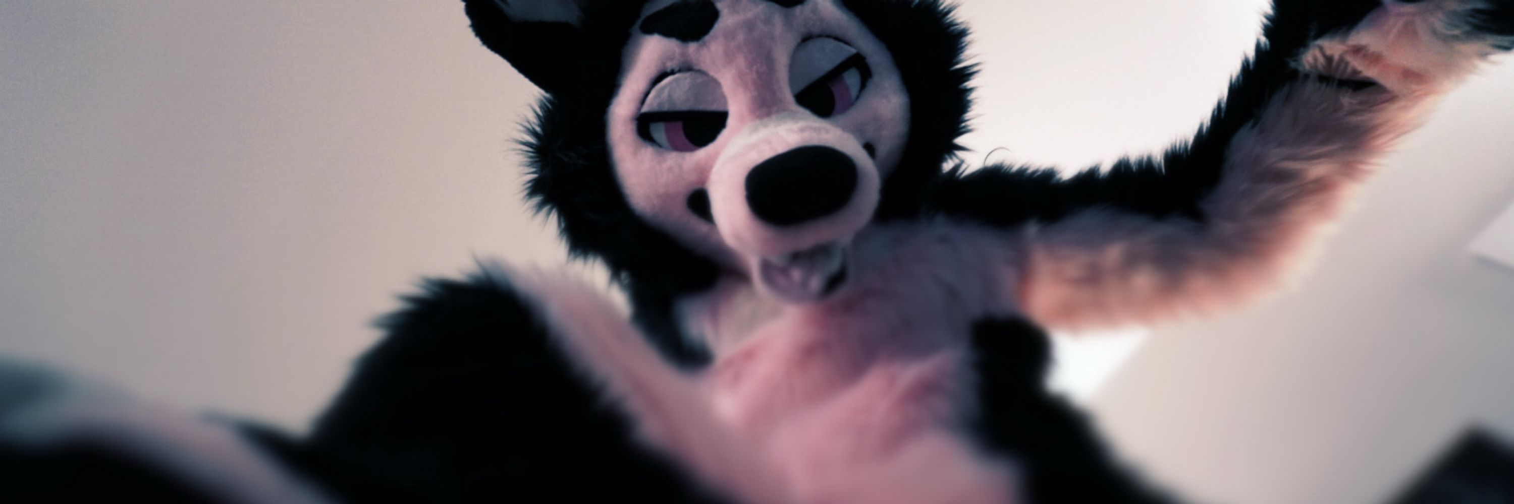 pink riddim dog