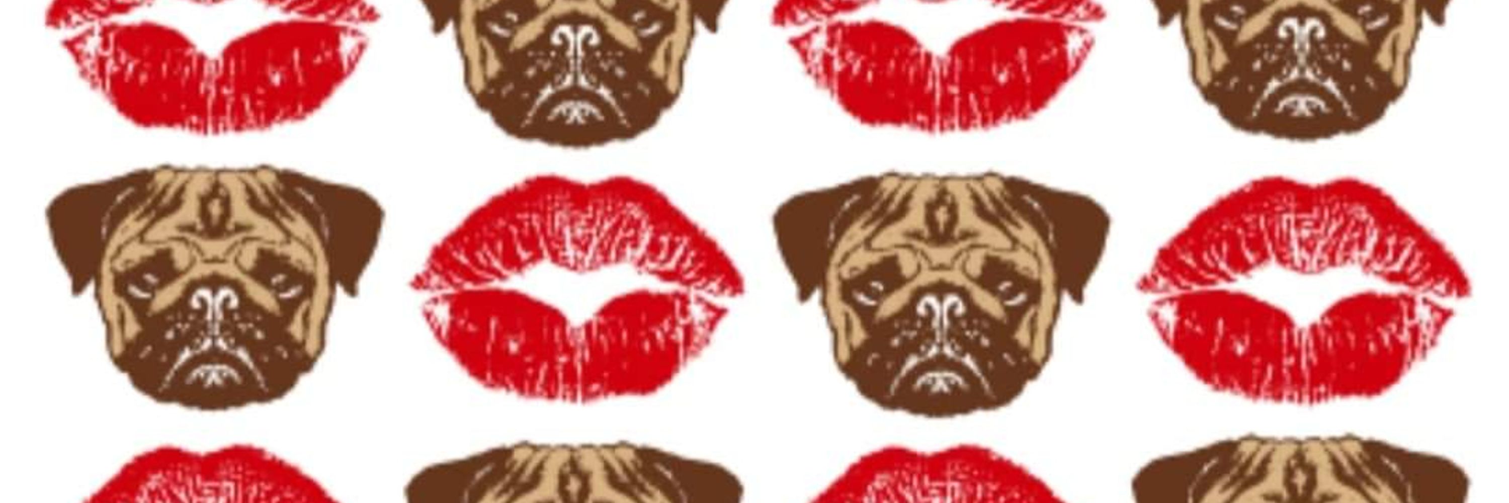 Bruno the Pug-tato
