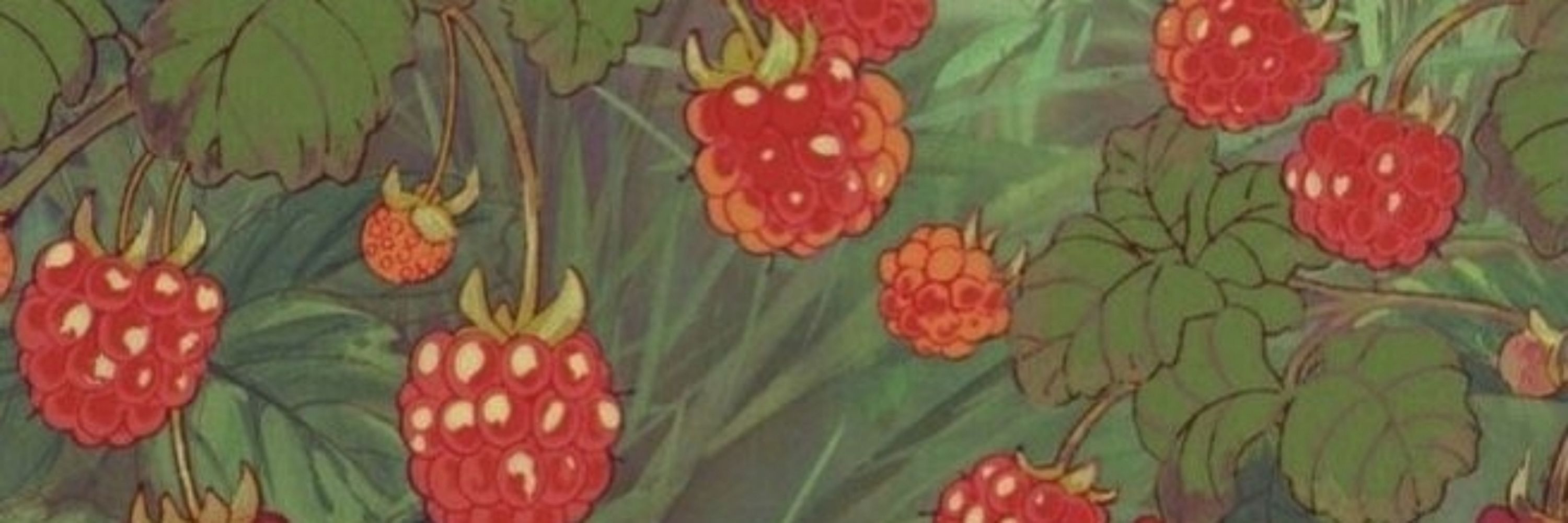 ⋆. 𐙚 ˚noronhesa🍓