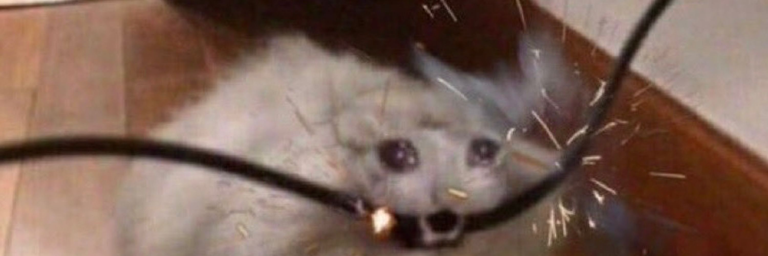 jk