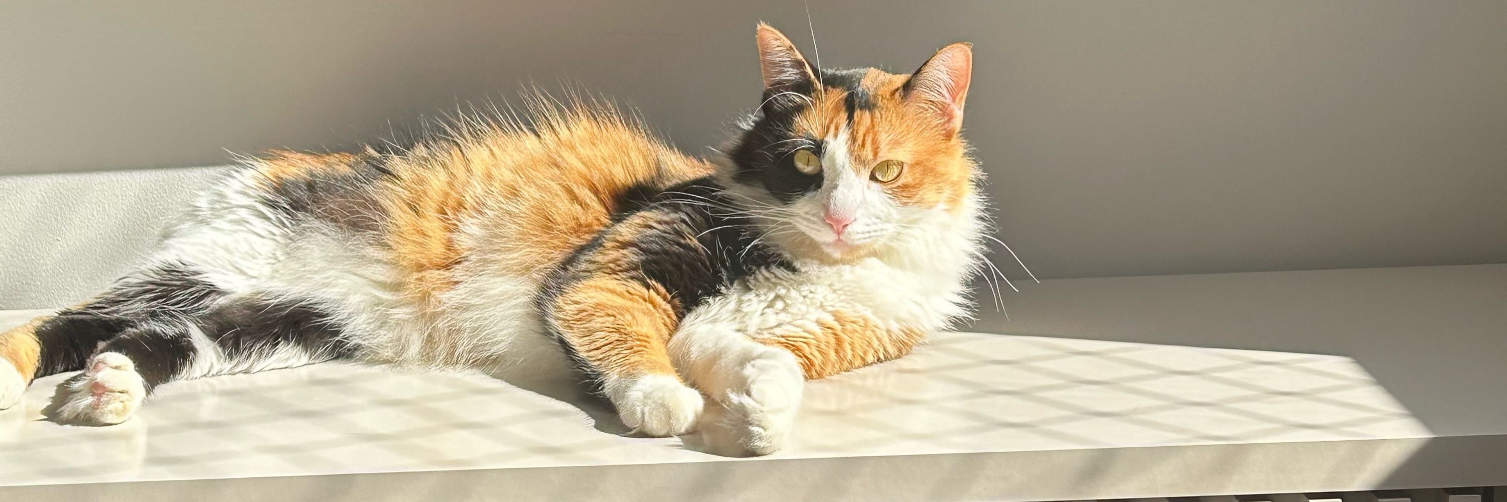 Vitória 