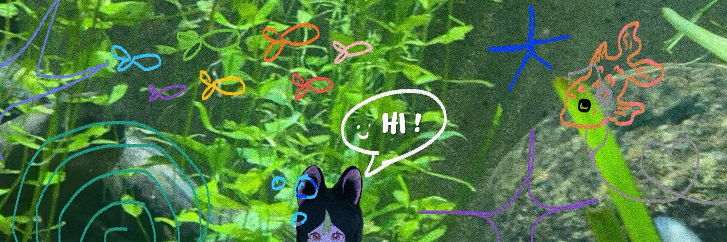lady goldfish. (aka. fae)