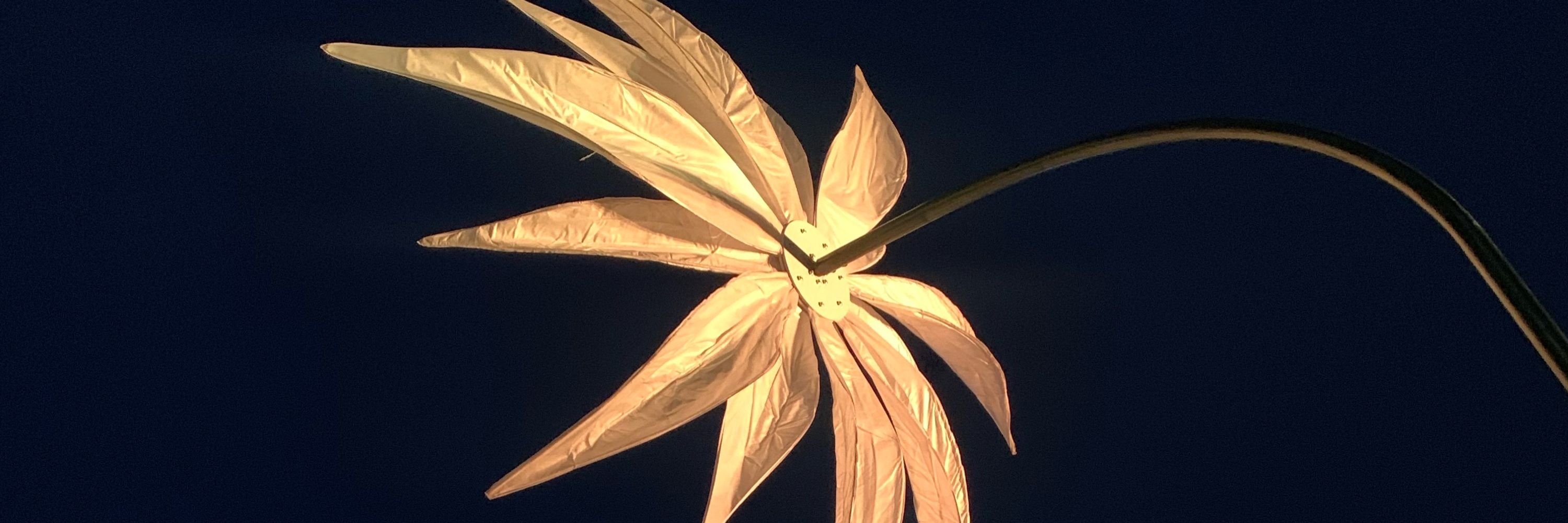 Linisen
