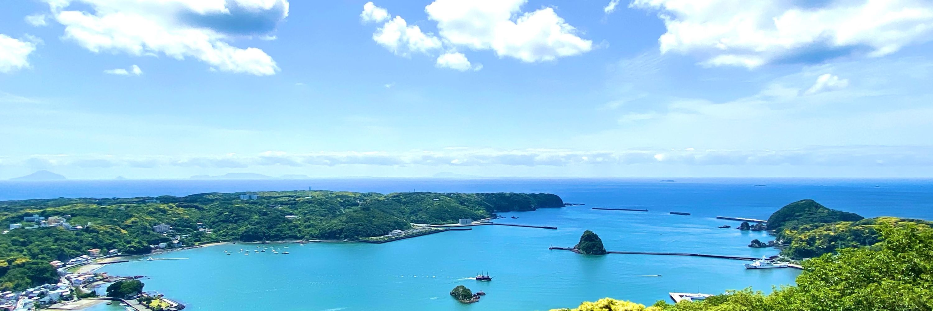 城👀