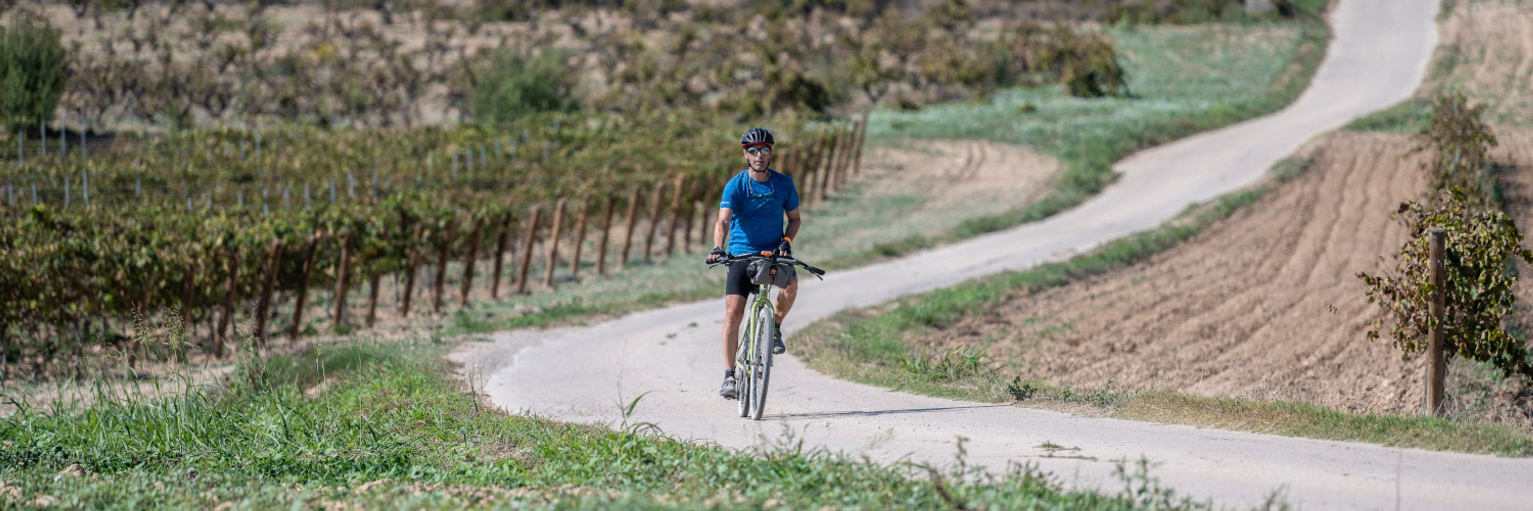 Plegabike / Petitbike