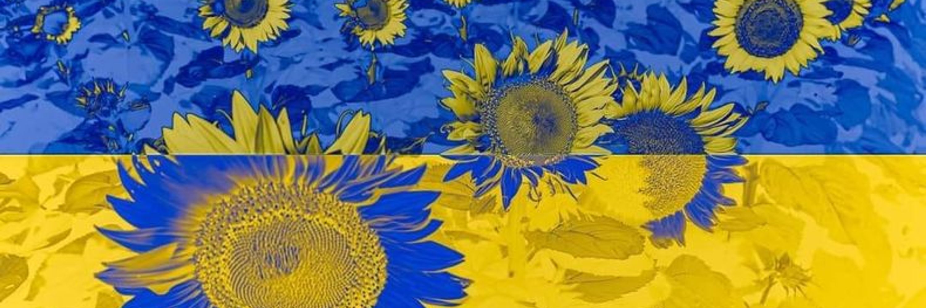 🌻 Nancy Carneiro Romero 🍍