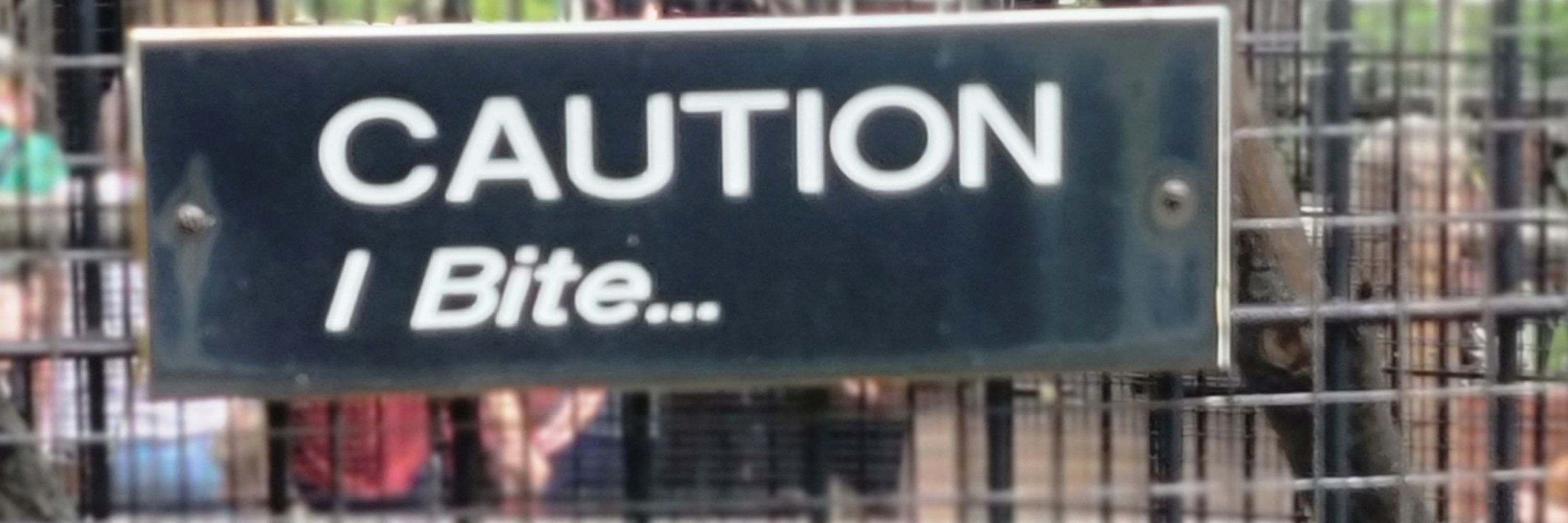 That thing that says weird stuff
